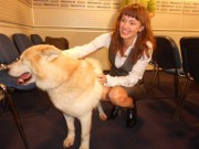 «Карелия: Северный полюс – южная оконечность острова Гренландия» «Карелия: Северный полюс – южная оконечность острова Гренландия»